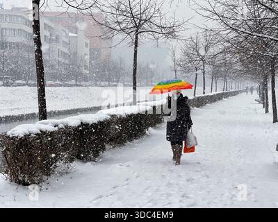 Solitario con ombrello arcobaleno in Winter City Park Snow. Foto di alta qualità Foto Stock