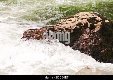 Primo piano di rocce fluviali circondate da acque affollate vicino a Snoqualmie, Washington Foto Stock