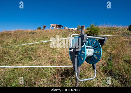 Recinzione elettrica per bovini nell'altopiano dell'Alpe di Siusi, Castelrotto (Castelrotto), Trentino alto Adige, Italia Foto Stock