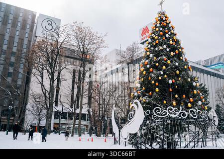 Sapporo, Hokkaido, Giappone - 16 febbraio 2024 : scena invernale innevata del Parco odori con albero di Natale Foto Stock