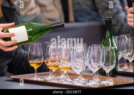 Evento speciale di degustazione per i visitatori, abbinamento di cibo con un bicchiere di champagne, deliziosi piatti preparati da rinomati cuochi a cibo invernale e. Foto Stock