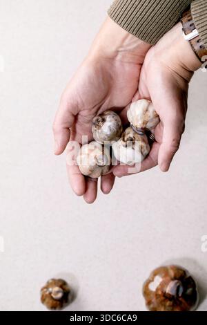 Primo piano tenendo in mano le zucche decorative in ceramica fatte a mano. Oggetti d'arte in argilla smaltati marrone e grigio che ricordano le verdure. Pezzi di ceramica artigianale di nuovo Foto Stock