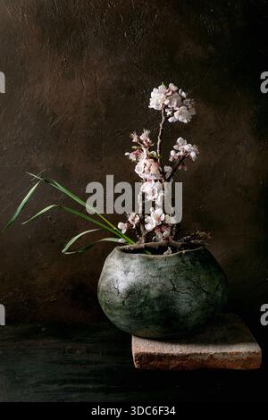 Delicato ramo in fiore di ciliegio con ikebana di fiori rosa in vaso di ceramica verde invecchiato su base di pietra. Lo sfondo con texture scura crea un look minimalista Foto Stock