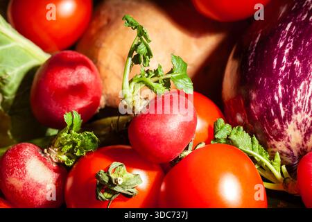 mix di verdure a base di ravanelli su sfondo nero Foto Stock