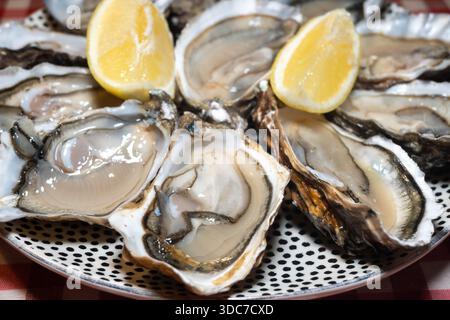 Ostriche fresche sul mercato francese settimanale, cibo di strada, porzione di ostriche aperte con limone, pesce, Francia, primo piano Foto Stock
