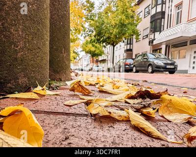 Rastatt, Germania - 15 ottobre 2024: Foglie autunnali colorate coprono un marciapiede di mattoni, creando una scena pittoresca con alberi e auto parcheggiate che fiancheggiano Foto Stock