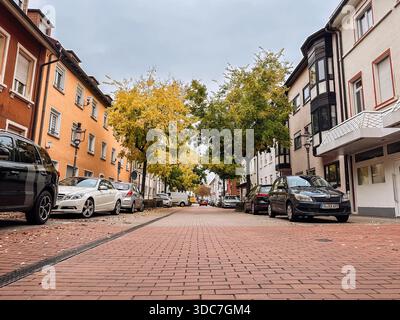 Rastatt, Germania - 15 ottobre 2024: Vista panoramica della strada autunnale con alberi vibranti con foglie gialle, fiancheggiati da auto parcheggiate su entrambi i lati, crea Foto Stock