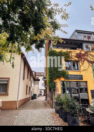 Rastatt, Germania - 15 ottobre 2024: Un'incantevole vista sulla strada mostra un pittoresco ristorante giallo adornato di edera, circondato da sentieri acciottolati e. Foto Stock