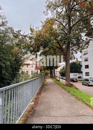 Rastatt, Germania - 15 ottobre 2024: Un sentiero panoramico delimitato da alberi lussureggianti e affascinanti edifici residenziali, che cattura l'essenza dell'autunno con Foto Stock