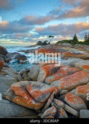 Rocce ricoperte di licheni a Binalong Bay, Tasmania. Foto Stock