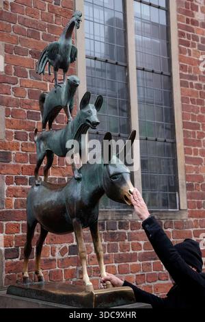 Bremer Stadtmusikanten - Die Bronzestatue der *Bremer Stadtmusikanten*, Die 1953 vom Bildhauer Gerhard Marcks 1889 - 1981 geschaffen wurde, aufgenommen am 20.12.2025 im Herzen der Hansestadt Brema Brema, Deutschland an der linken, westlichen Seite des Rathauses. Da das Berühren der Vorderbeine und der Nase des Esels laut Volksglauben Glück bringen soll, sind diese Stellen durch das häufige Anfassen Hell glänzend und blank gerieben. DAS zwei Meter hohe, wohl bekannteste Wahrzeichen der Stadt an der Weser erinnert an das beliebte Märchen der Brüder Grimm, in dem sich Esel, Hund, Katze und Hahn Foto Stock