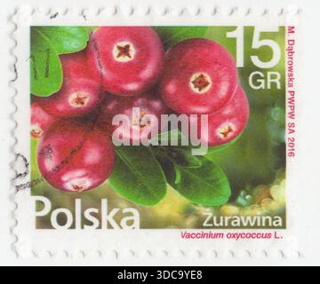 POLONIA — 2016 ottobre 20: 15 francobollo multicolore grosz raffigurante frutti di mirtillo rosso, frutta della foresta Vaccinum Oxycoccus. Arbusti nani sempreverdi o viti trainanti, sottogenere Oxycoccus. Si possono trovare nelle paludi acide in tutte le regioni più fredde. I fiori sono di rosa scuro, con petali riflettenti molto distinti, lasciando lo stile e gli stami completamente esposti e puntati in avanti. Sono impollinati dalle api. Il frutto è una bacca più grande delle foglie della pianta. Inizialmente è verde chiaro e diventa rosso quando matura. È commestibile, ma con gusto acido che di solito ne sopraffina la dolcezza Foto Stock