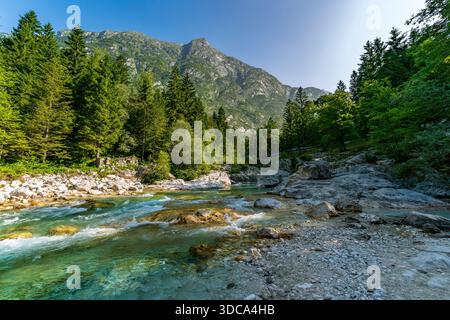 Una tranquilla escursione attraverso lussureggianti foreste scopre le vibranti acque color smeraldo che scorrono su terreni rocciosi, incorniciati da torreggianti montagne sotto cieli limpidi Foto Stock