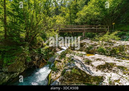 Un tranquillo ponte di legno attraversa un fiume in mezzo a una vegetazione vibrante, che evoca pace e avventura nella natura incontaminata della Valle del Soca slovena Foto Stock