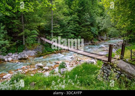 Un tranquillo ponte di legno si estende su un ruscello di montagna in una vibrante vegetazione che evoca pace e avventura nell'incontaminata valle di Soca slovena Foto Stock