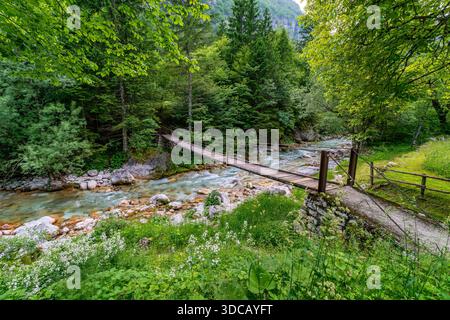 Un tranquillo ponte in legno si estende su un ruscello di montagna, circondato da una vibrante vegetazione che evoca pace e bellezza naturale nell'incontaminata Soca va slovena Foto Stock