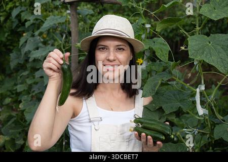 Giovane agricoltore sorridente che raccoglie cetrioli in serra Foto Stock