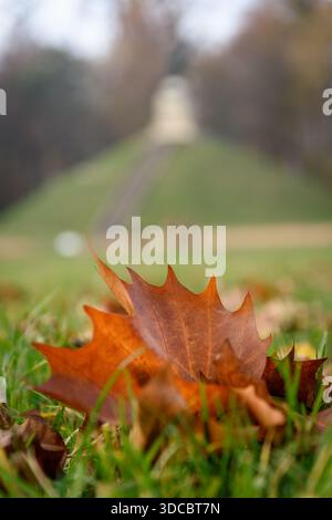 Solitudine autunnale: Una foglia caduta poggia su un'erba vibrante sotto un monumento lontano, catturando la tranquilla poesia del cambiamento stagionale Foto Stock