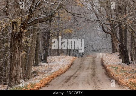 Contea di Mecosta, Michigan, Stati Uniti Foto Stock