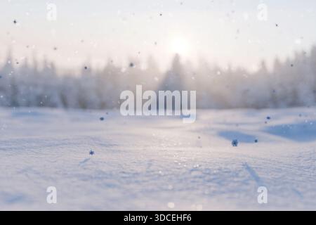 Scena invernale con campo innevato a fuoco morbido, sfondo della foresta, fiocchi di neve blu cadenti e luce solare intensa che si infrangono. Vacanze natalizie all'aperto Foto Stock