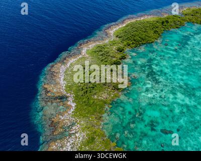 Vista aerea della formazione corallina con acqua blu e isole verdi Foto Stock