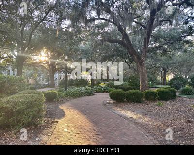 La luce del sole filtra attraverso il muschio spagnolo lungo il sentiero nel parco di Savannah Foto Stock