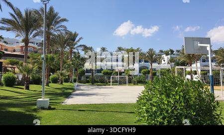 Un campo da pallacanestro si trova in un'area erbosa circondata da alte palme ed edifici. La scena mostra un cielo azzurro brillante e un clima soleggiato, indicando un wa Foto Stock