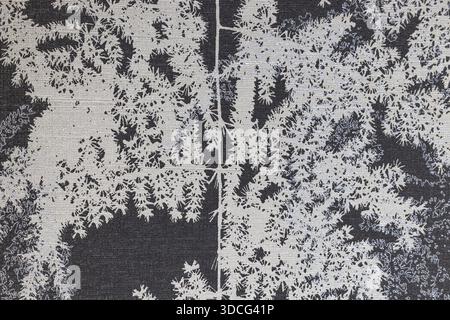 Macro texture in pizzo bianco e nero astratto Foto Stock