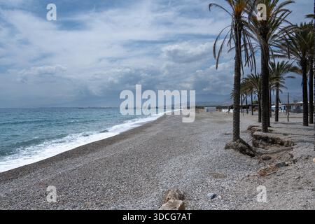 Una tranquilla spiaggia con palme che fiancheggiano la riva, dolci onde che si infrangono sulla spiaggia di ciottoli, sotto un cielo nuvoloso Foto Stock