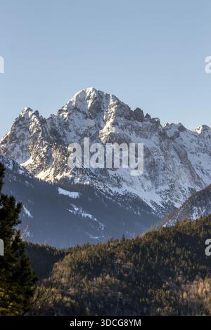 Vista delle vette innevate che si innalzano maestosamente contro il cielo azzurro, torreggiando sopra la fitta foresta verde scuro in Baviera, Germania. Foto Stock