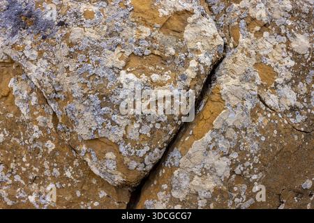 Vista delle rocce baciate dal sole, le loro superfici dipinte con macchie di licheni grigi, divise da una fessura scura a Shetpe, regione di Mangystau, Kazakistan. Foto Stock