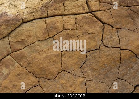 Vista della terra incrinata che mostra intricati schemi di fessure attraverso il paesaggio arido, una testimonianza del clima secco della regione, Shetpe, Mangystau Foto Stock