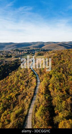 Vista aerea di una strada tortuosa attraversa un arazzo di sfumature autunnali mentre serpeggia nel paesaggio, Novi Sad, Vojvodina, Serbia. Foto Stock