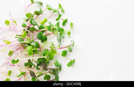 Vista dall'alto dei germogli dei microverdi, isolati Foto Stock