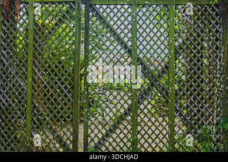 Uno scatto ravvicinato a tutto campo di un vecchio recinto o schermo in legno con diamanti, ricoperto di muschio verde, che mostra un edificio residenziale sfocato e colorato Foto Stock