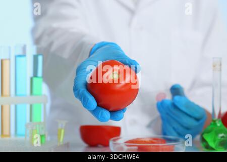 Scienziata donna con provette per analisi di campioni e pomodori freschi in laboratorio, primo piano Foto Stock