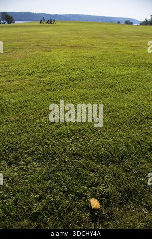 Una foglia sull'erba pulita di un campo da golf, tre giocatori di golf sul retro, Torsby, Vaermland, Svezia Foto Stock
