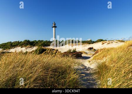Vista sul faro di Dueodde con dune di sabbia e canne in primo piano Foto Stock