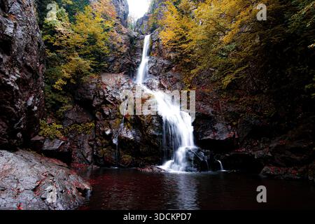 Cascata nella foresta che scende su rocce scure circondata da fogliame autunnale, un paesaggio naturale tranquillo con acqua fresca che scorre Foto Stock