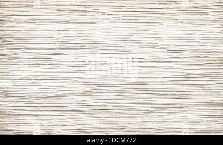 superficie in legno di palma secco sbiancato, fondo testurizzato Foto Stock