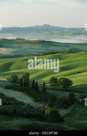 Tuscany rolling hills landscape with lush green meadows at sunrise, Val d'Orcia, Italy Foto Stock