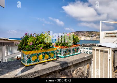 Fioriera in ceramica colorata piena di fiori su un balcone affacciato sul mare a Sant'Angelo, Ischia, Italia. Foto Stock