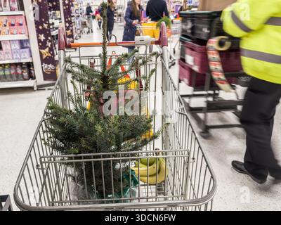 Londra, Inghilterra – lo Shopper spinge l'albero di Natale nel carrello per lo shopping nei supermercati durante le festività natalizie Foto Stock