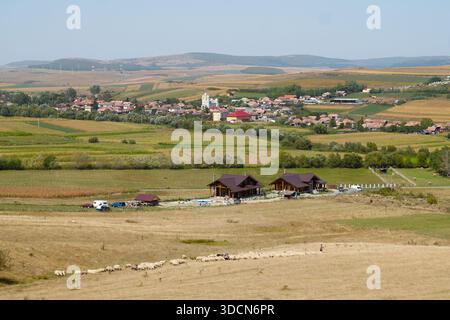 Viaggia in romania transilvania cheile turzii paesaggio rurale della valle della transilvania con un pastore, gregge di pecore e villaggio Foto Stock