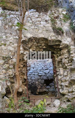 Viaggia in romania, transilvania cheile turzii, all'ingresso della grotta di pietra con struttura in metallo e vegetazione crescente nelle gole di turzii Foto Stock
