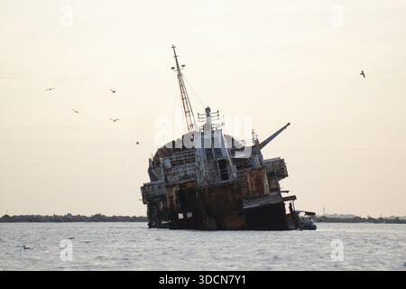 Viaggiate in romania, tulcea sulina, delta del danubio, Mar Nero, naufragio abbandonato che lentamente decadde in acqua, fornendo un habitat per i gabbiani Foto Stock