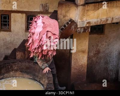 Fez è stata una tappa fantastica durante il mio tour del Marocco Foto Stock