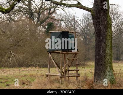 Una vista della torre di caccia numero nove sotto l'ombra di un vecchio albero di quercia Foto Stock