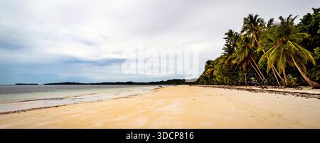 Una tranquilla spiaggia con sabbia soffice, onde dolci e palme che costeggiano la riva sotto un cielo nuvoloso Foto Stock