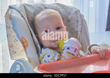 Primo piano di un adorabile bambino in seggiolone, con un abito stampato, guardando la macchina fotografica mentre si masturba felicemente un te giallo in silicone a forma di frutta Foto Stock